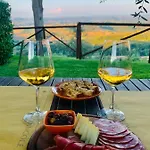 Fattoria Di Pancole San Gimignano