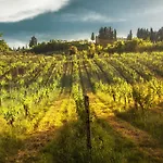 Farma Fattoria Di Pancole *
