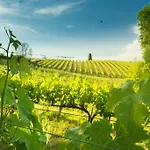 Fattoria Di Pancole