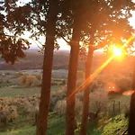 Fattoria Di Pancole Farma San Gimignano