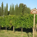 Fattoria Di Pancole Farma *