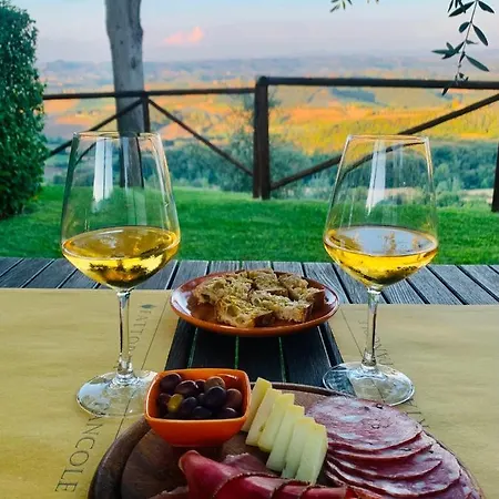 Fattoria Di Pancole San Gimignano