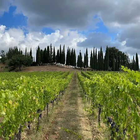 Fattoria Di Pancole *