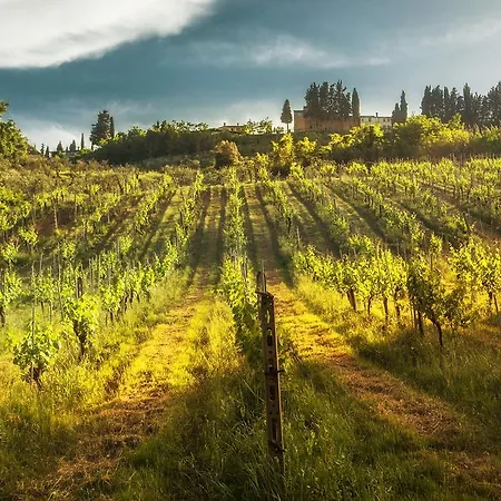Farm stay Fattoria Di Pancole *