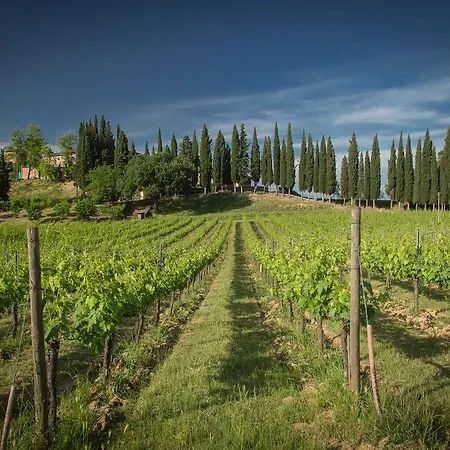 Lantgård Fattoria Di Pancole San Gimignano