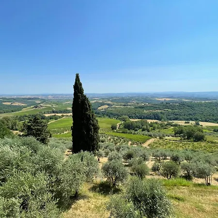 Fattoria Di Pancole