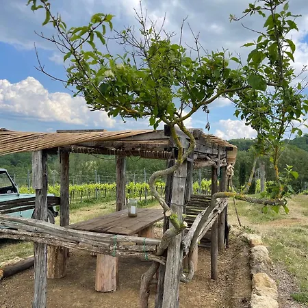 Fattoria Di Pancole
